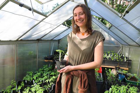 Annalena Heimer hat das südliche Gemüse, wie Tomaten bis zu den Eisheiligen im Gewächshaus. Ulrike Bernauer