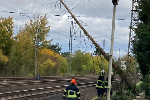 Die Feuerwehr Mörfelden barg einen Baum, der in die Oberleitung der Bahnstrecke Mannheim Frankfurt gestürzt war. Foto: Feuerwehr Mörfelden