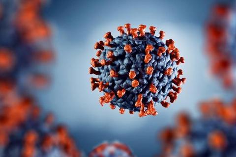 Das Coronavirus bestimmt seit Anfang 2020 weltweit das Leben der Menschen. Symbolfoto: artegorov3@gmail - stock.adobe