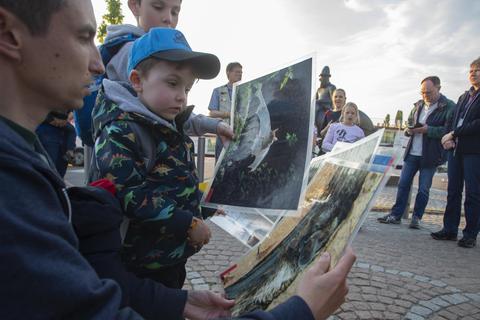 Da muss man schon ganz genau hinschauen. Die hiesigen Fledermäuse sind oft nur wenige Gramm schwer. Foto: Vollformat/Volker Dziemballa