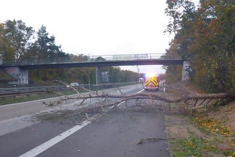 Der umgestürzte Baum auf der A643 zwischen der Anschlussstelle Mainz-Gonsenheim und dem Autobahndreieck Mainz in Fahrtrichtung Bingen. Foto:  Feuerwehr Mainz