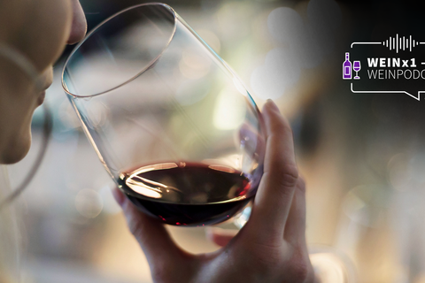 Der Weingeschmack ist das entscheidende Kriterium, ob uns der Wein mundet. Aber was schmecken wir dabei wirklich? Foto: Adobe Stock – Maksim Shebeko