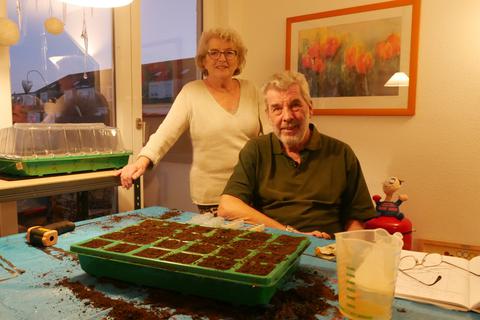Ute und Dieter Haufe haben einen Schrebergarten. Die Chili- und Paprikapflanzen säen und ziehen sie aber Zuhause vor. 