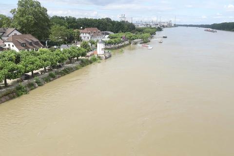 Der Wasserstand steigt weiter hoch, noch ist der Pegel unter 6 Metern. Ab 6,70 Metern überschwemmt das Wasser die Wormser Rheinpromenade.  Foto: pakalski-press/Andreas Stumpf