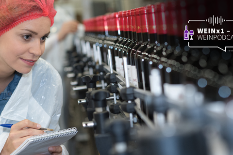 Bei einer Weinkontrolle werden neben Winzern und Weingütern auch Wein- und Sektkellereien mit in- und ausländischen Erzeugnissen oder Lebensmitteleinzelhändler und Gastronomiebetriebe kontrolliert.  Foto: Adobe Stock –  auremar