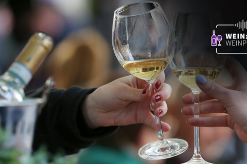 Der Silvaner gilt als eine der wichtigsten Rebsorten für deutschen Weißwein. Foto: dpa – David Young