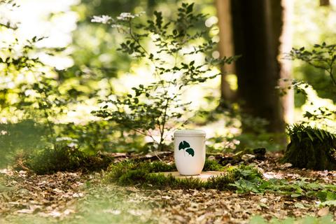 Grüne Ginkgo-Blätter zieren als Dekor die biologisch abbaubaren Urnen im Friedwald.  Foto: FriedWald GmbH  
