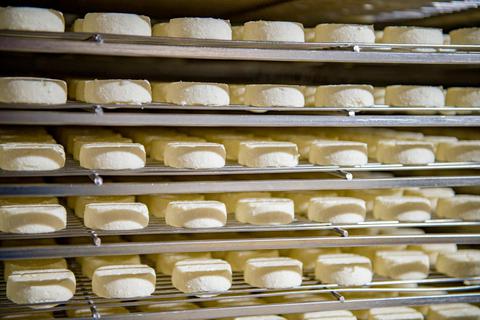  Ruhen ist erst mal für den Käse angesagt, dafür geht es in die Reifekammer. Foto: Jenny Berns 